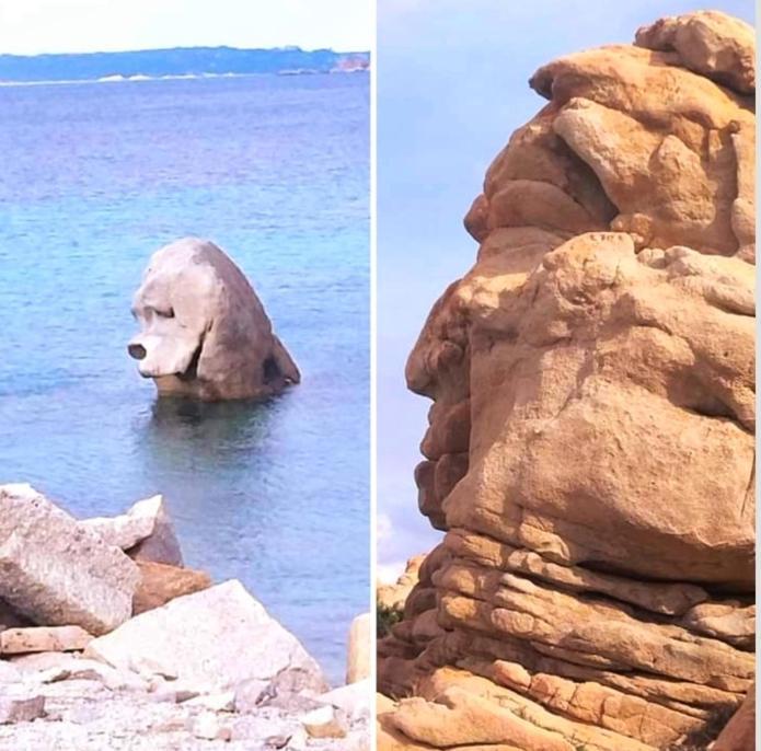 Incantevole Casa Vacanze Ginestra La Maddalena Ла-Маддалена Экстерьер фото